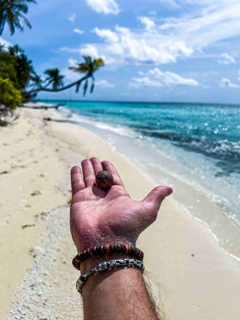 52D538C0-FCFA-418E-B606-DDF8C1182CA9-scaled