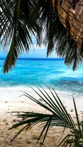 photo_2022-11-10-18.30.56-1-169x300