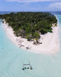 photo_2022-11-10-18.31.05-240x300