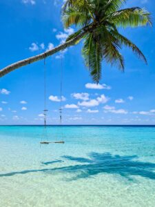 photo_2022-11-10-18.31.07-225x300