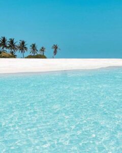 photo_2022-11-10-18.31.10-1-240x300